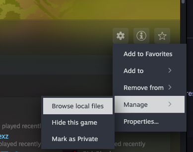 steam local files